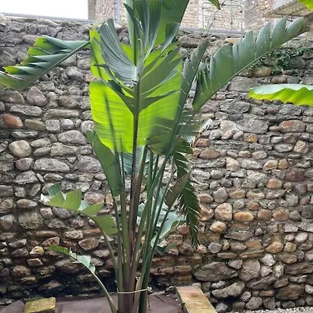 Cez'ici, Maison De Village Saint-Denis (Gard)